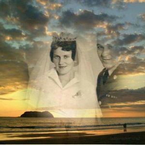 Meet your Posher, Cynthia